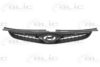 HYUNDAI 863512R500 Radiator Grille